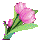 봄꽃