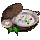 보중익기탕